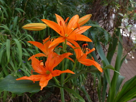 Foto: Dr. Peter Müller